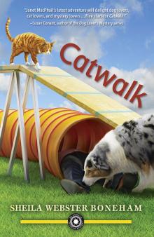 Catwalk