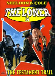 The Loner 14
