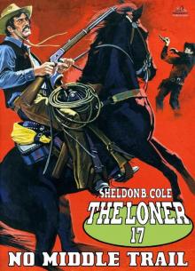 The Loner 17