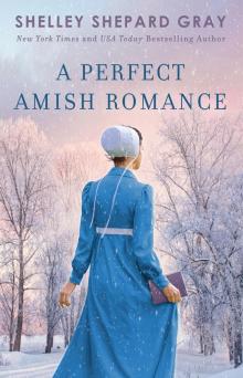 A Perfect Amish Romance A Perfect Amish Romance