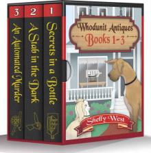 Whodunit Antiques Cozy Mystery series Bundle