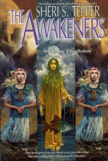 The Awakeners - Northshore & Southshore The Awakeners - Northshore & Southshore