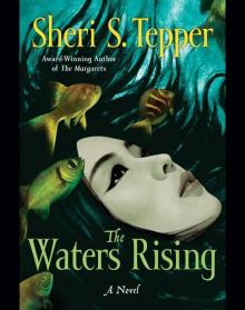 The Waters Rising The Waters Rising