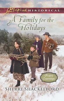 A Family for the Holidays A Family for the Holidays