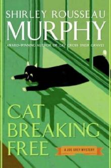 Cat Breaking Free Cat Breaking Free