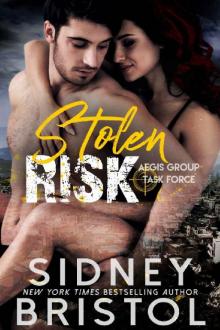 Stolen Risk (Aegis Group Task Force Book 1)
