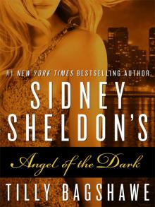 Sidney Sheldon's Angel of the Dark