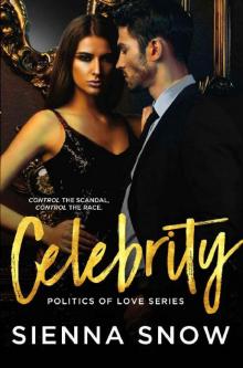 Celebrity (Politics of Love Book 1)