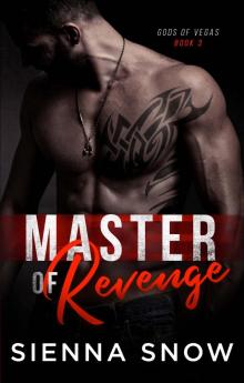 Master of Revenge Master of Revenge