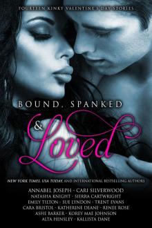 Bound, Spanked and Loved: Fourteen Kinky Valentine's Day Stories