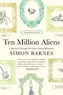 Ten Million Aliens