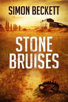 Stone Bruises Stone Bruises