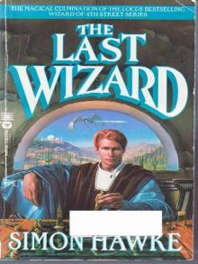 The last wizard The last wizard