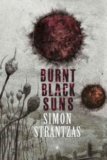 Burnt Black Suns: A Collection of Weird Tales Burnt Black Suns: A Collection of Weird Tales