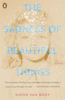 The Sadness of Beautiful Things: Stories