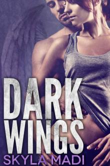 Dark Wings (Never Dark Book 1) Dark Wings (Never Dark Book 1)