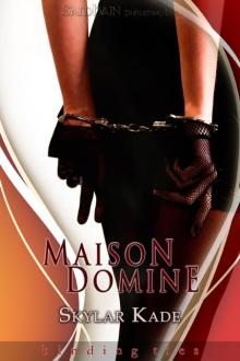 Maison Domine: A Binding Ties story