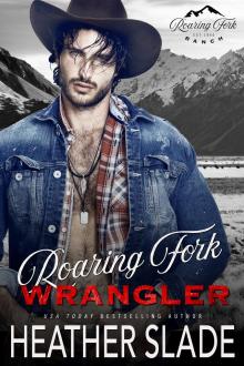 Roaring Fork Wrangler (Roaring Fork Ranch Book 1)