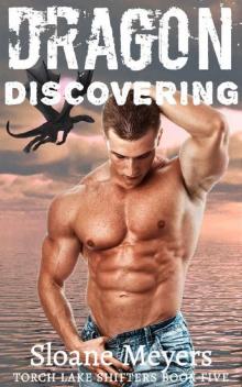 Dragon Discovering Dragon Discovering