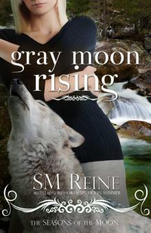 Gray Moon Rising (#4) (Seasons of the Moon)