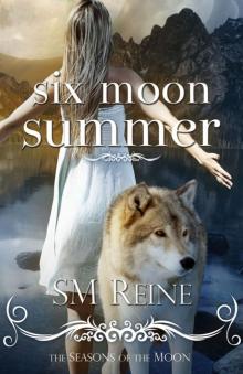 Six Moon Summer (#1) (Seasons of the Moon)
