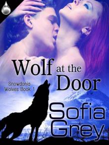 Snowdonia 1 - Wolf at the Door Snowdonia 1 - Wolf at the Door