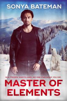 Master of Elements Master of Elements
