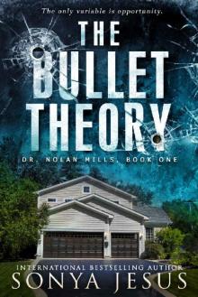 The Bullet Theory The Bullet Theory