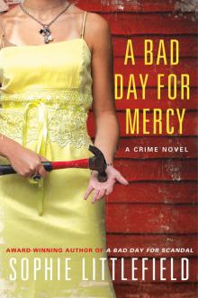 A Bad Day for Mercy A Bad Day for Mercy