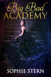 Big Bad Academy Big Bad Academy