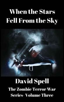 The Zombie Terror War Series (Vol. 3): When the Stars Fell From the Sky
