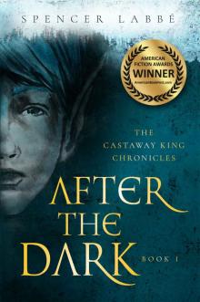 After the Dark After the Dark