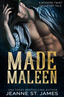 Made Maleen: A Modern Twist on a Fairy Tale