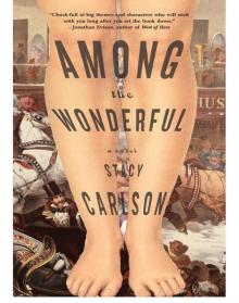 Among the Wonderful Among the Wonderful