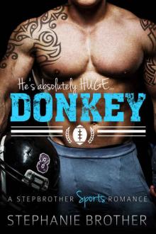 DONKEY: A Stepbrother Sports Romance (With FREE Bonus Novel Charged!)