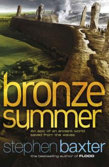 Bronze Summer n-2 Bronze Summer n-2