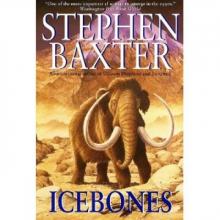 Icebones tm-3