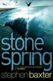 Stone spring n-1 Stone spring n-1