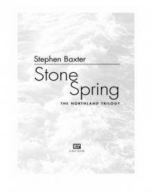 Stone Spring Stone Spring