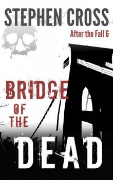 After the Fall (Book 6): Bridge of the Dead