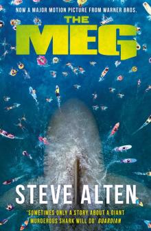 The MEG The MEG