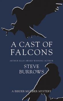 A Cast of Falcons A Cast of Falcons