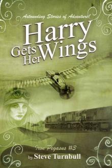 Harry gets Her Wings (Iron Pegasus Book 3)