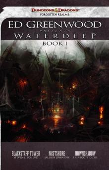 Ed Greenwood Presents Waterdeep, Book I