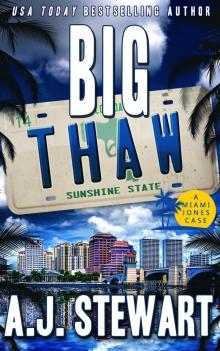 Big Thaw (Miami Jones Private Investigator Mystery Book 14)