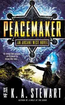 Peacemaker (9780698140820) Peacemaker (9780698140820)
