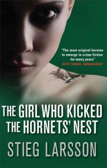 The Girl Who Kicked The Hornets’ Nest m(-3