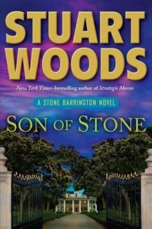 Son of Stone sb-21