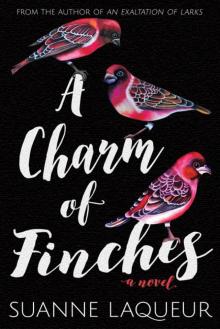 A Charm of Finches A Charm of Finches