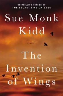 The Invention of Wings: A Novel
